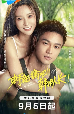 Смотреть Новинки Дорам Онлайн С Русской Озвучкой SOFTBOX В Хорошем.